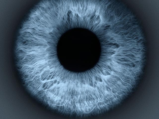 Die Iris eines Auges.